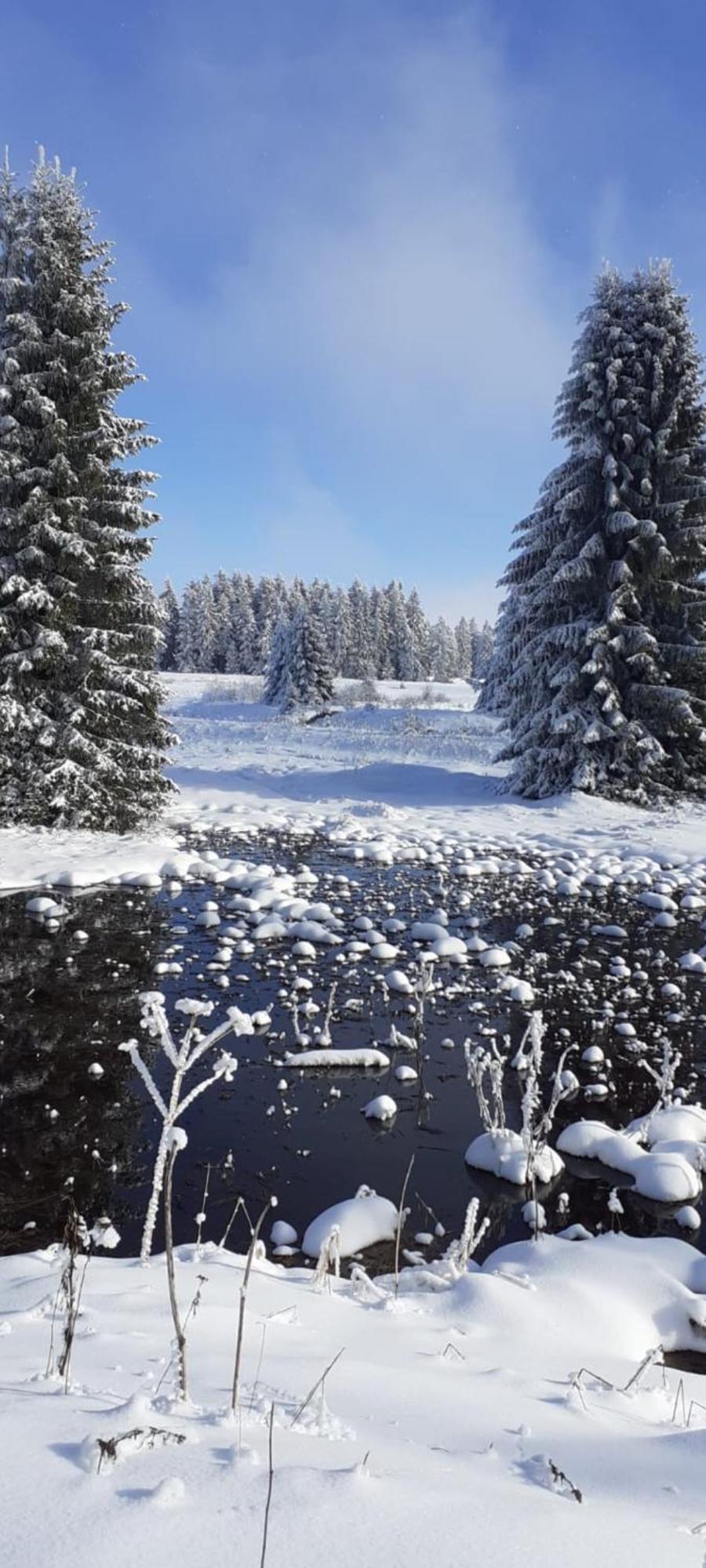 Restaurace A Penzion Vlci Jama Horní Blatná Exteriör bild